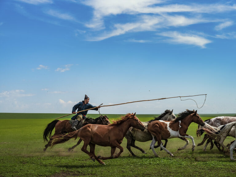 Creature-Hulun Buir Prairie - 3.Lasso a horse